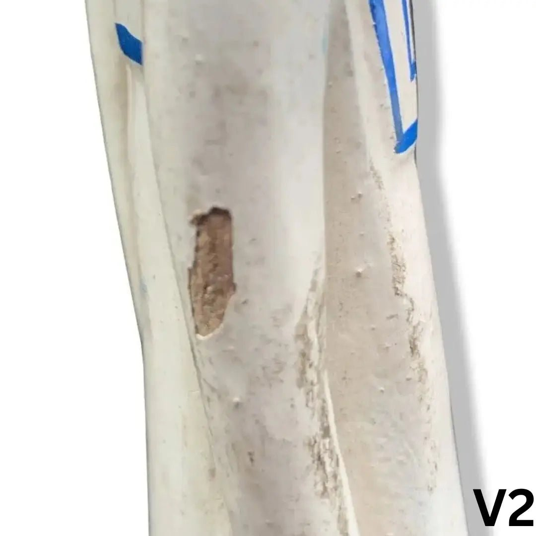 1 African Ivory Coast Baule Colonial statue Male Statue Hand Carved Painted Doctor 12in