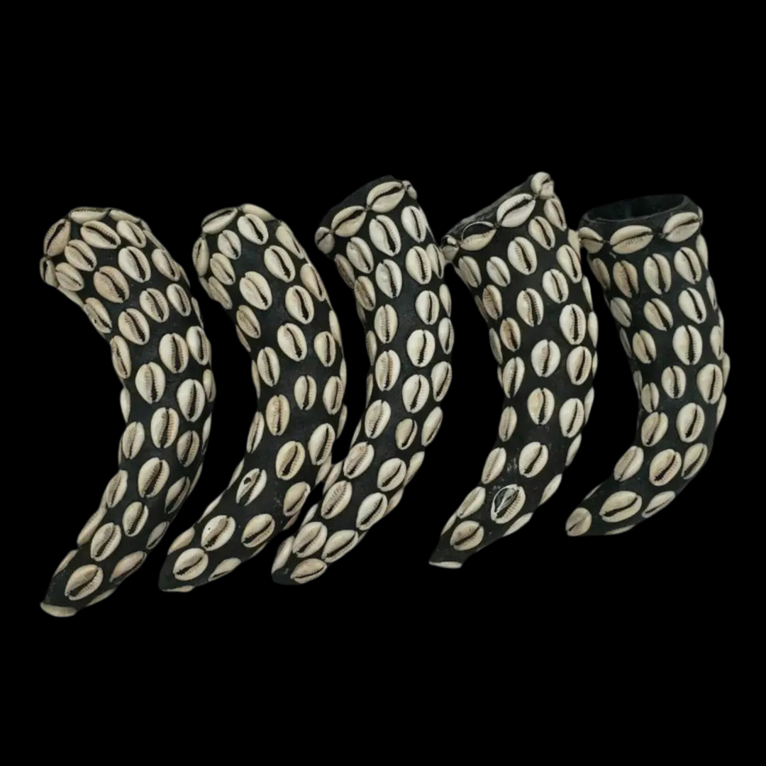 Mpaka Enroscada con Conchas de Cauri – Amuleto para Protección y Conexión Espiritual (Mpaka Wrapped with Cowrie Shells – Amulet for Protection and Spiritual Connection)