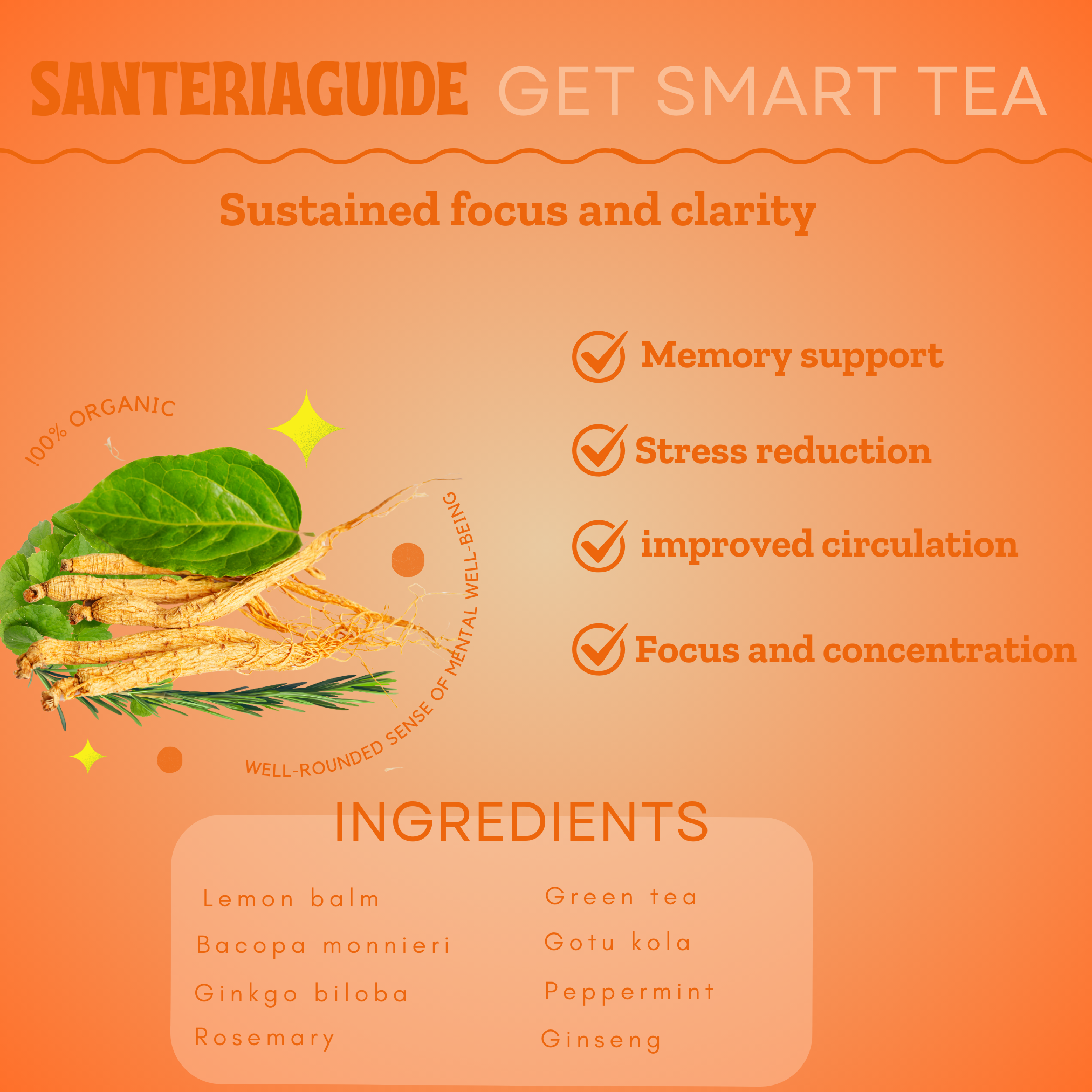 SanteriaGuide Get Smart Focus Tea - SanteriaGuide