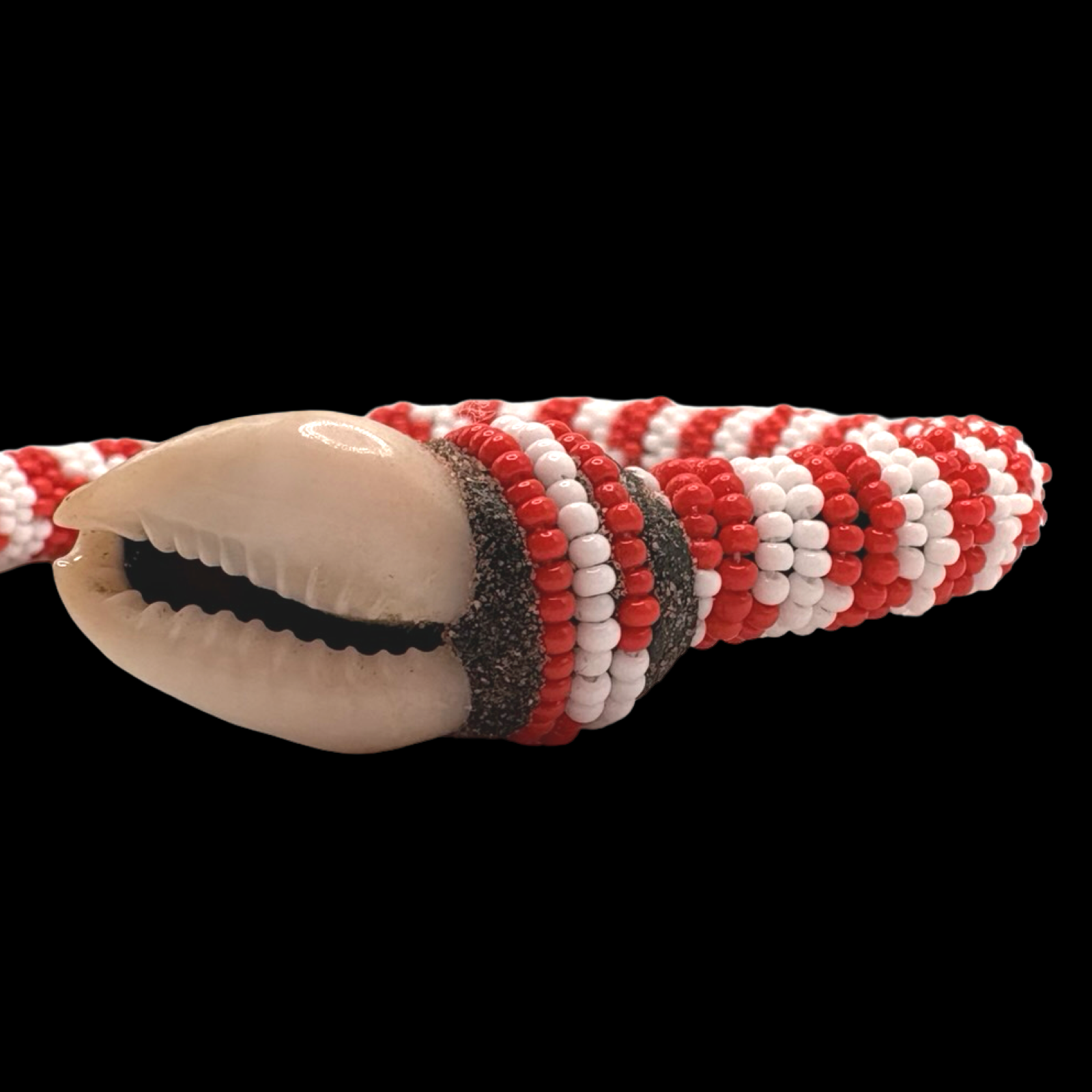 Pulsera de Shangó – Conchas de Cauri