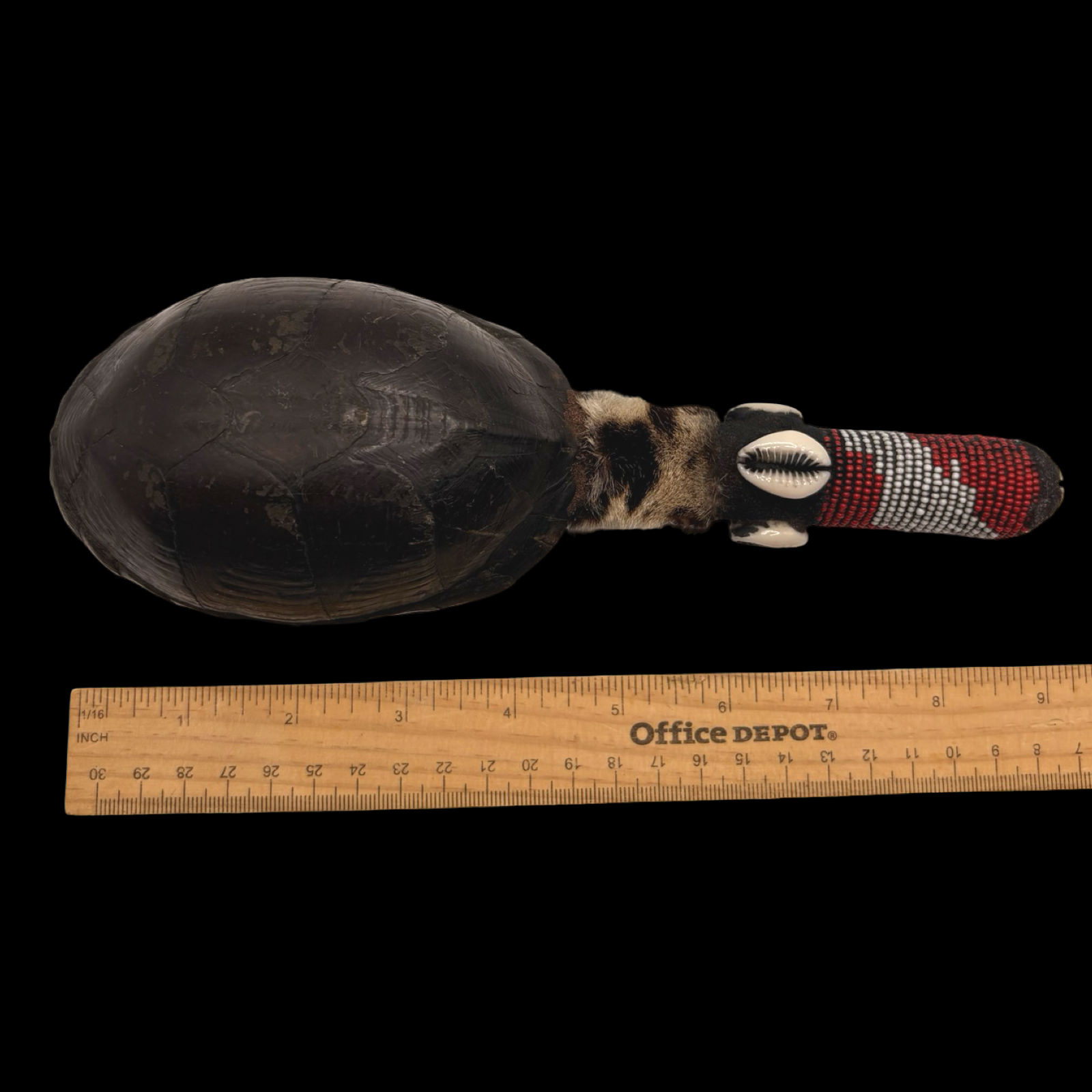 Maraca de Shangó – Concha de Tortuga