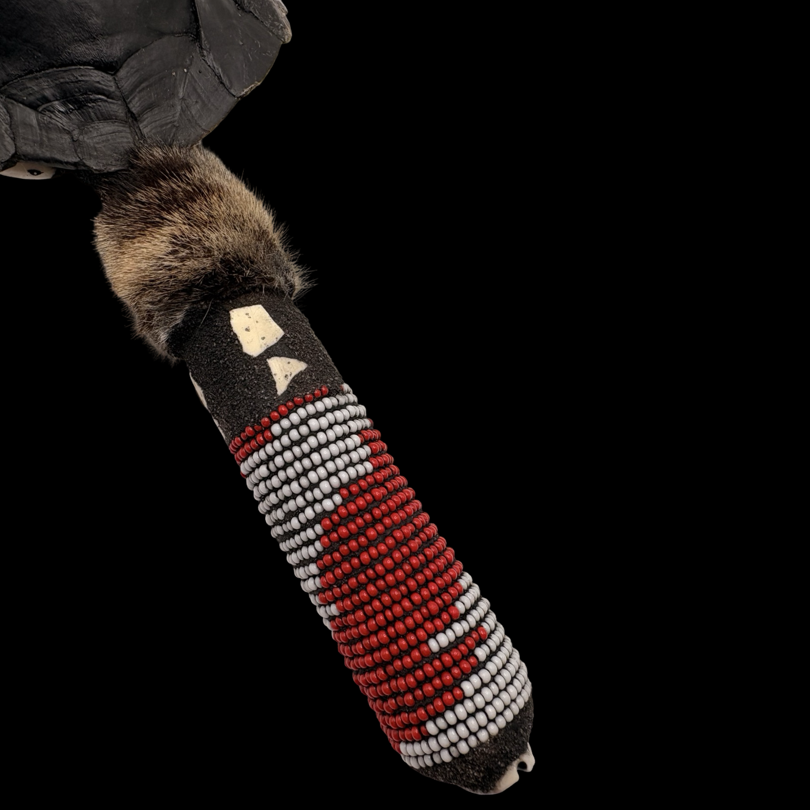 Maraca de Shangó – Concha de Tortuga