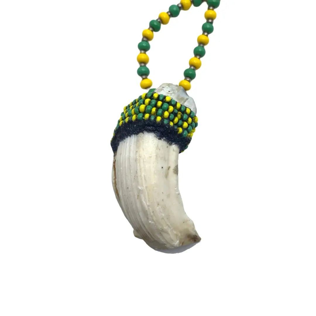 Eleke de Orunmila con Diente – Panteón Yoruba y Bantú (Orunmila Necklace with Tooth) - SanteriaGuide