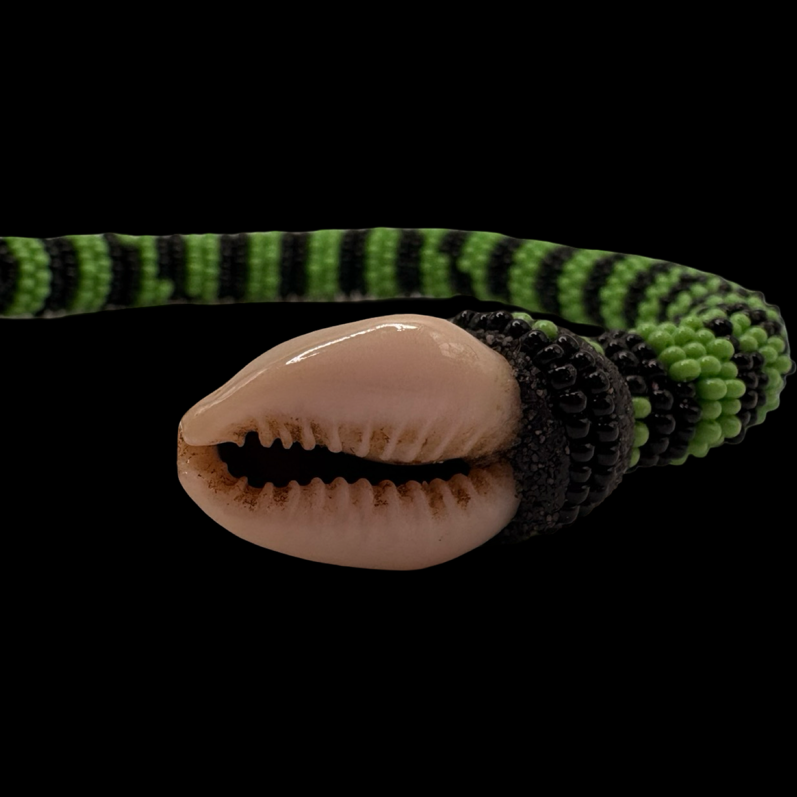 Pulsera de Ogun – Conchas de Cauri