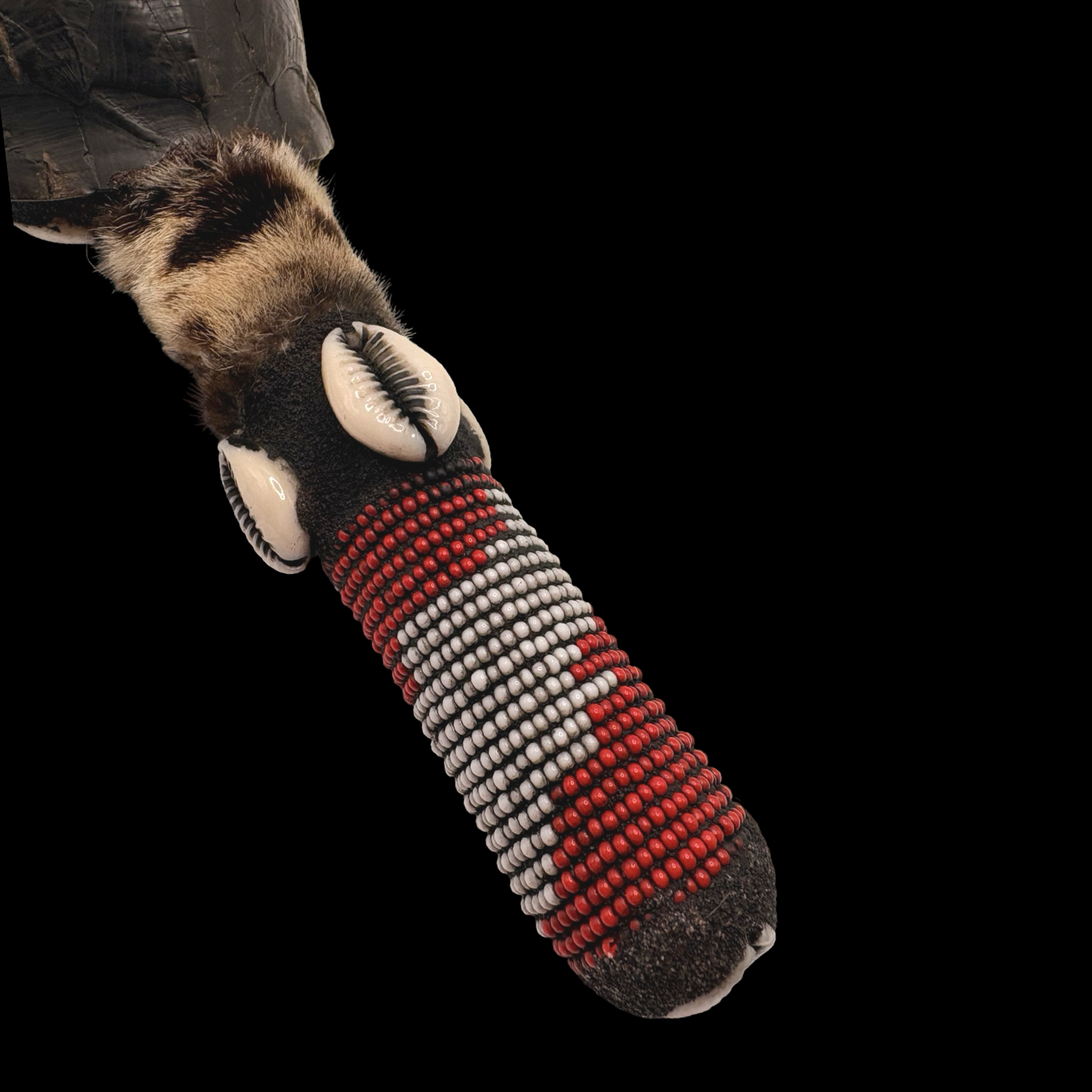 Maraca de Shangó – Concha de Tortuga