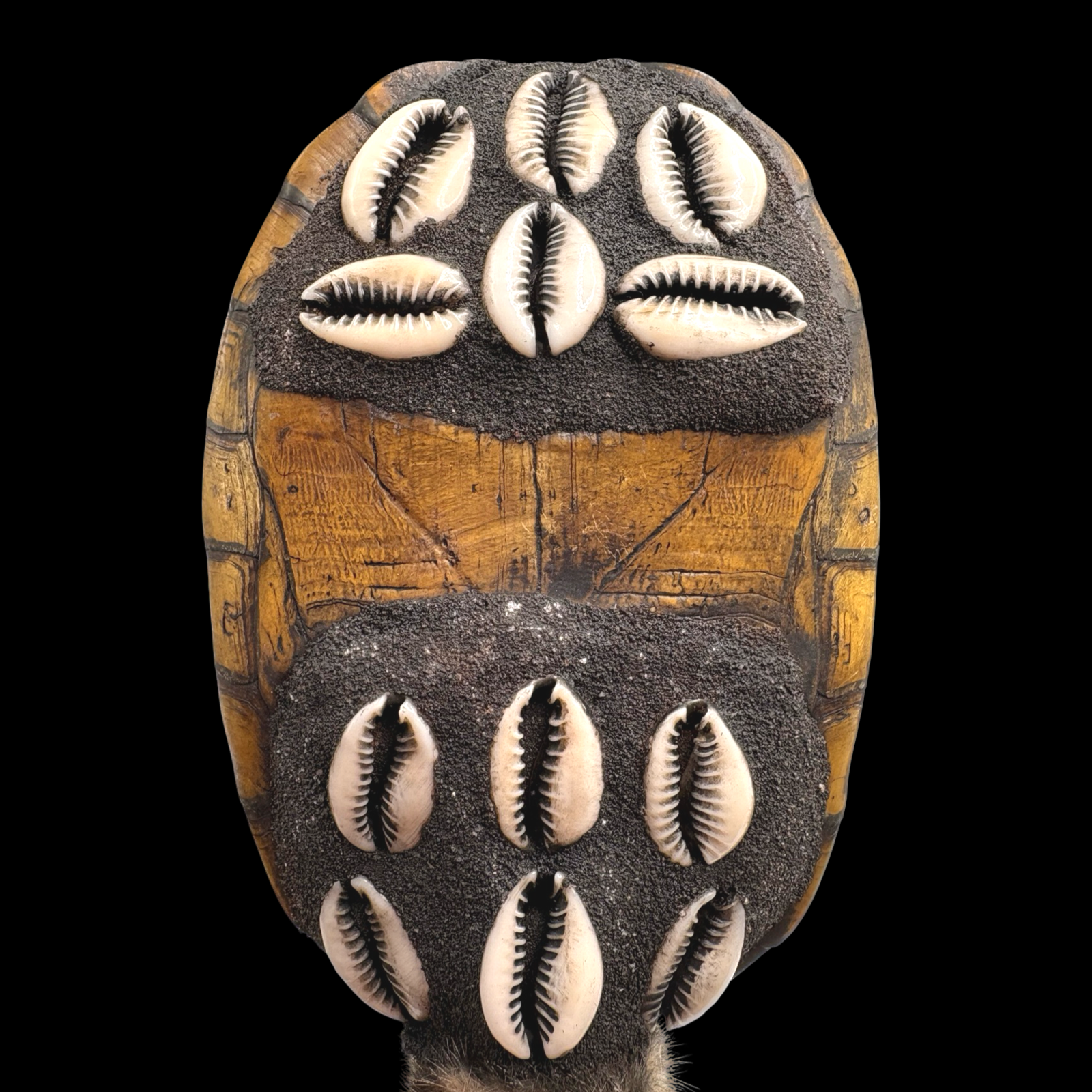 Maraca de Shangó – Concha de Tortuga