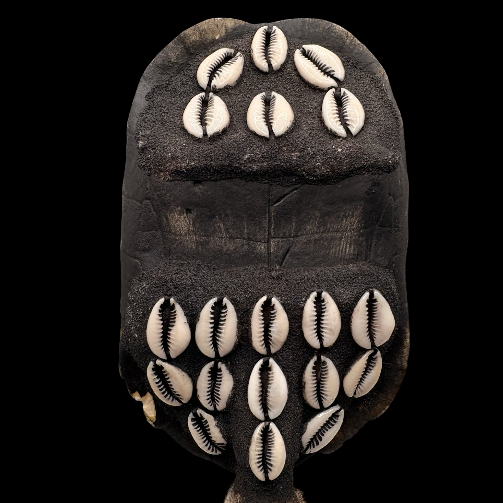 Maraca de Shangó – Concha de Tortuga