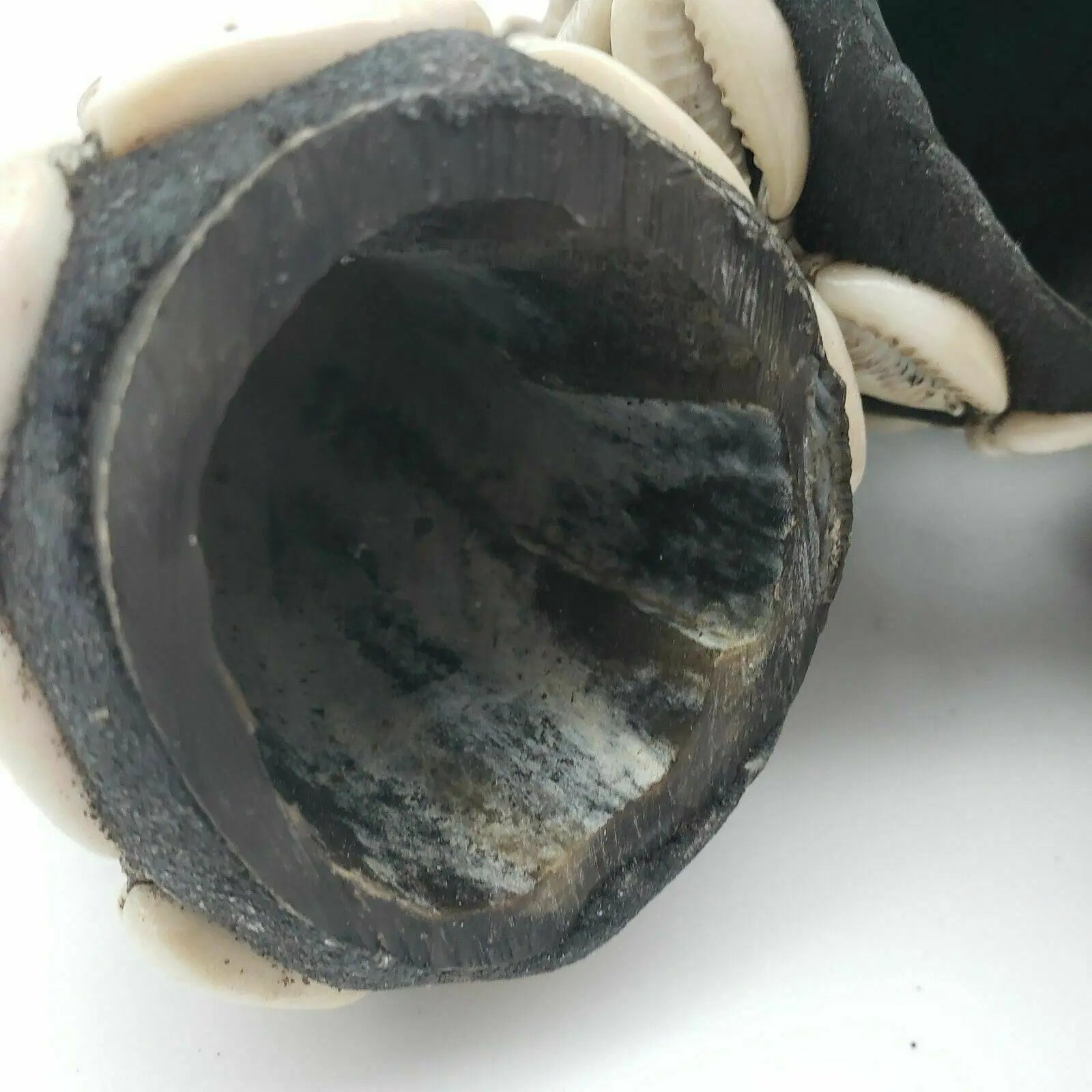 Mpaka Enroscada con Conchas de Cauri – Amuleto para Protección y Conexión Espiritual (Mpaka Wrapped with Cowrie Shells – Amulet for Protection and Spiritual Connection) - SanteriaGuide