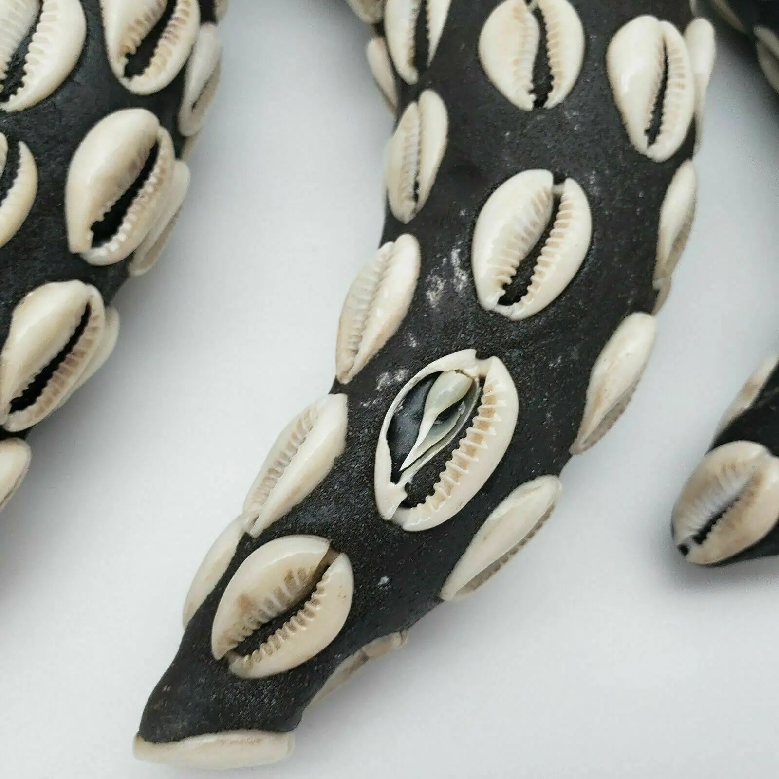 Mpaka Enroscada con Conchas de Cauri – Amuleto para Protección y Conexión Espiritual (Mpaka Wrapped with Cowrie Shells – Amulet for Protection and Spiritual Connection) - SanteriaGuide