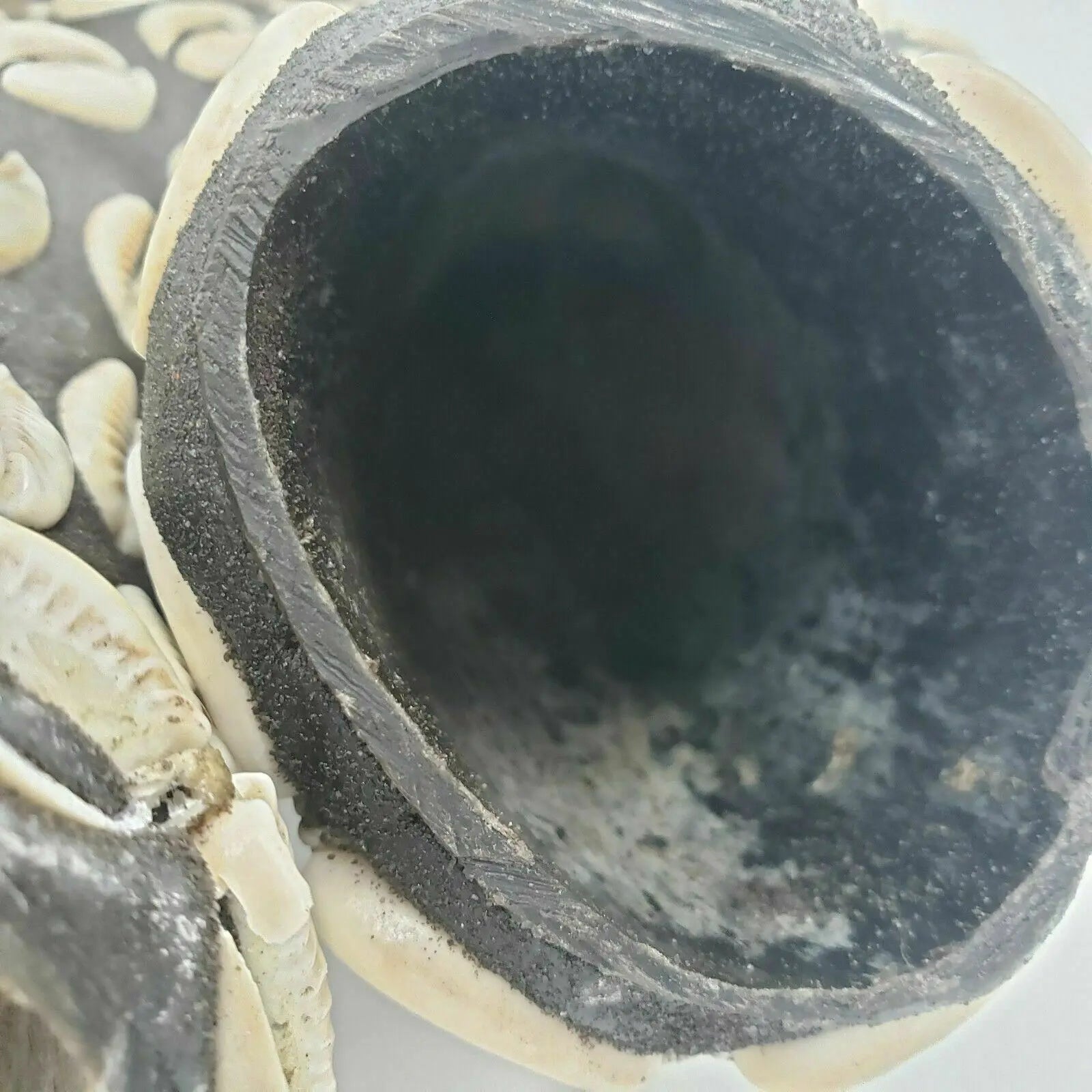 Mpaka Enroscada con Conchas de Cauri – Amuleto para Protección y Conexión Espiritual (Mpaka Wrapped with Cowrie Shells – Amulet for Protection and Spiritual Connection) - SanteriaGuide