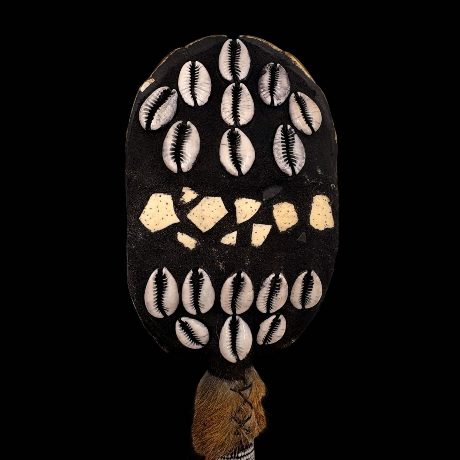 Maraca de Shangó – Concha de Tortuga