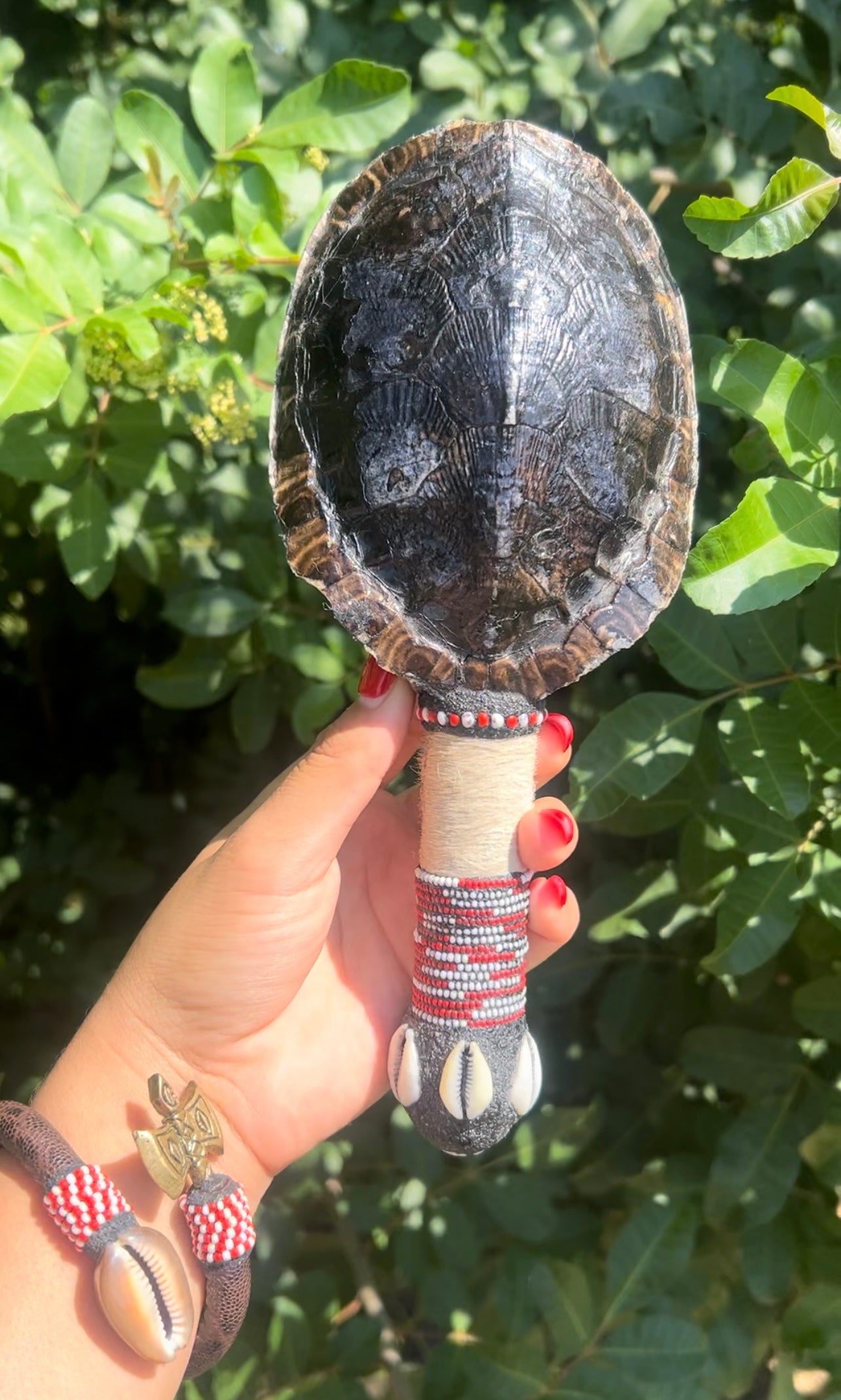 Maraca de Shangó – Concha de Tortuga (Shangó Rattle with Turtle Shell)