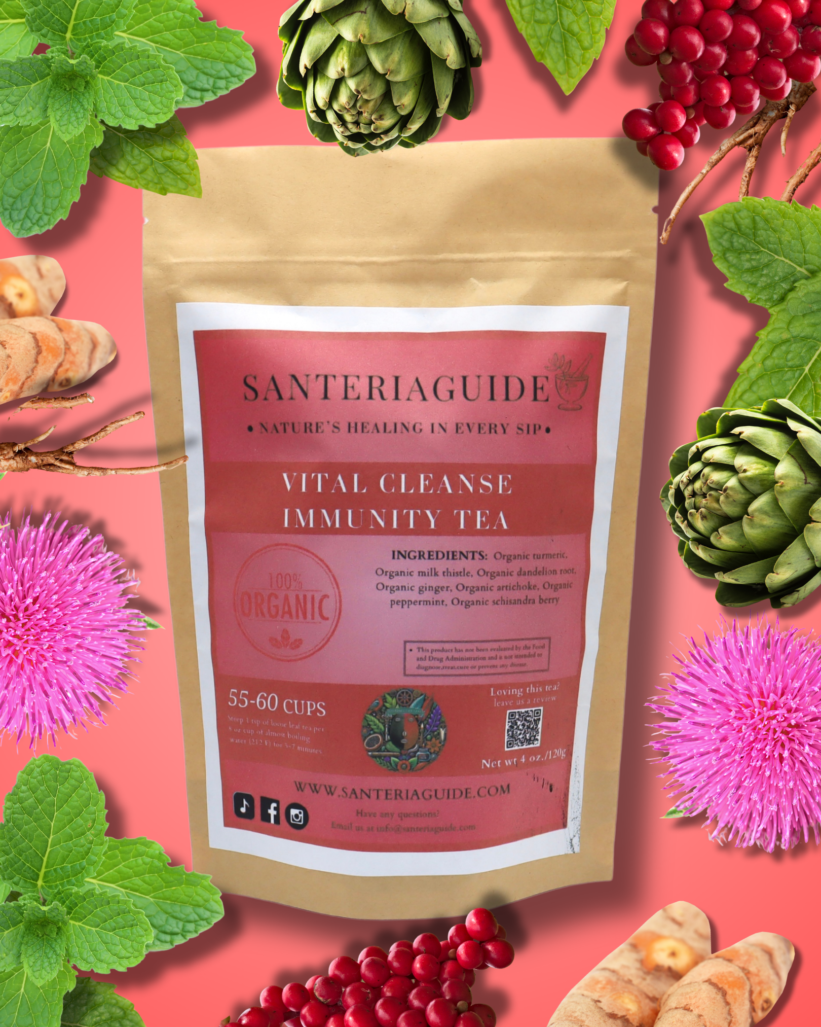 A package of SanteriaGuide Vital Cleanse & Immunity Tea is showcased against a vibrant background. The packaging emphasizes "Nature's Healing in Every Sip" and includes a list of organic ingredients such as milk thistle, ginger root, and echinacea to detoxify your system. It mentions that each package contains 55-60 cups.